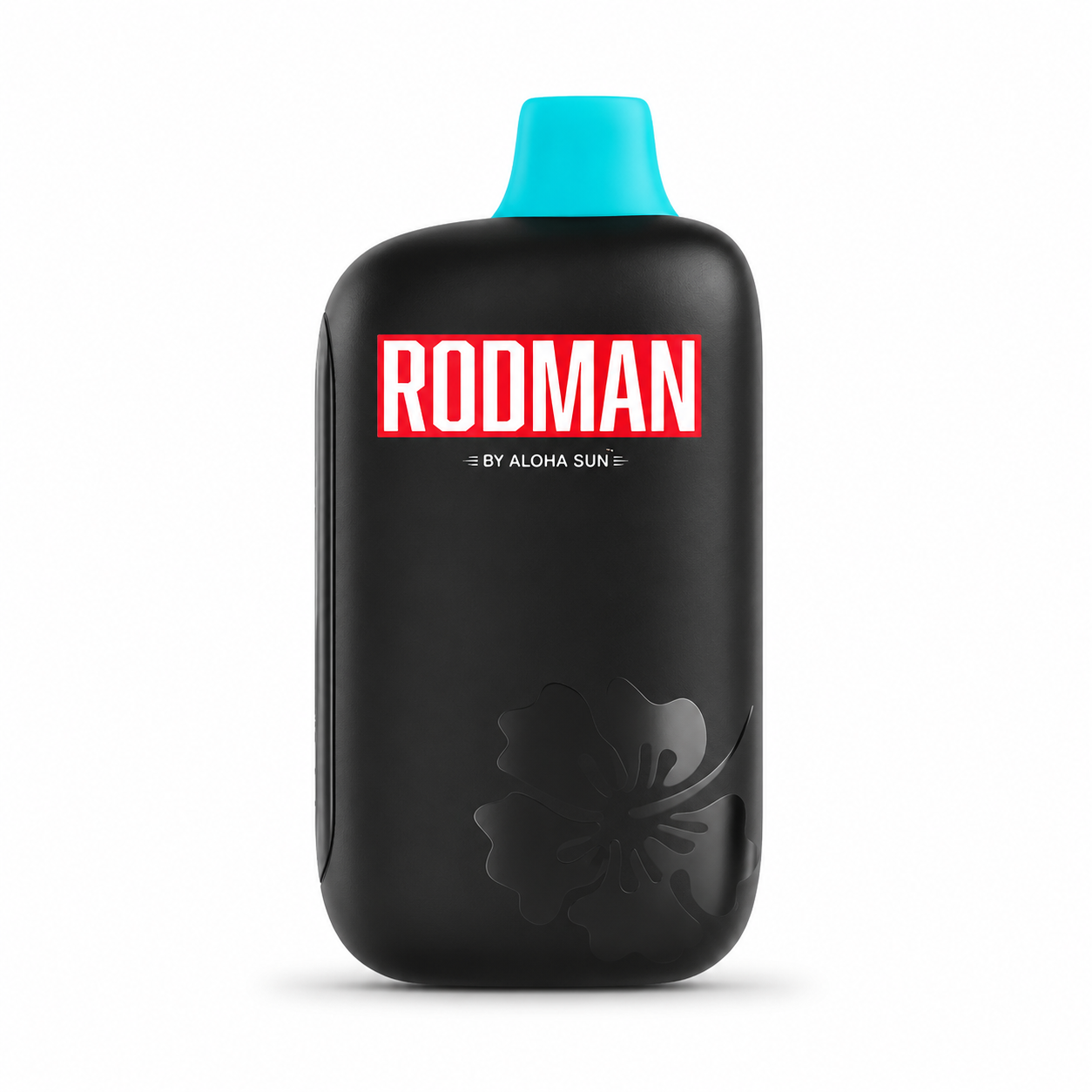 RODMAN 9,100 HITS